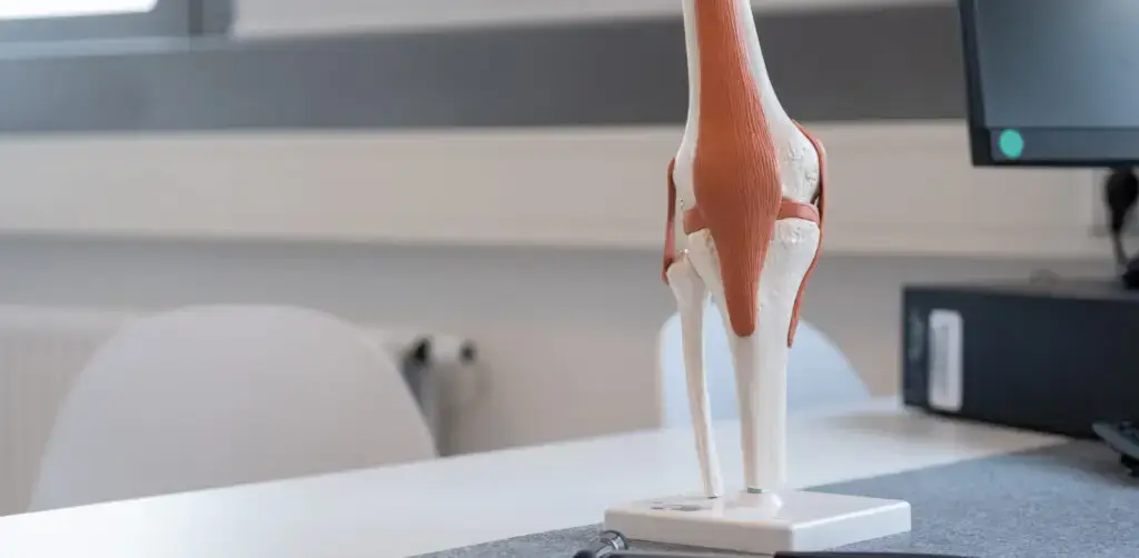 Was tun bei Knieschmerzen?